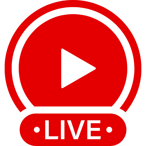 Satisfier Toy | Live Webcam Shows & Interactive Adult Entertainment